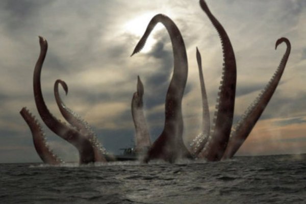 Kraken как найти ссылку